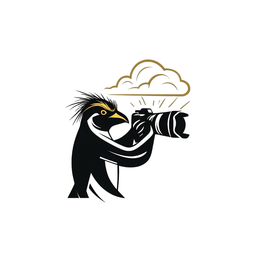 Gazer Logo